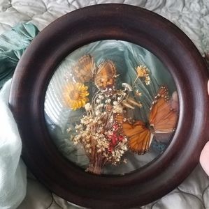 •VINTAGE• Preserved butterfly and flowers in frame